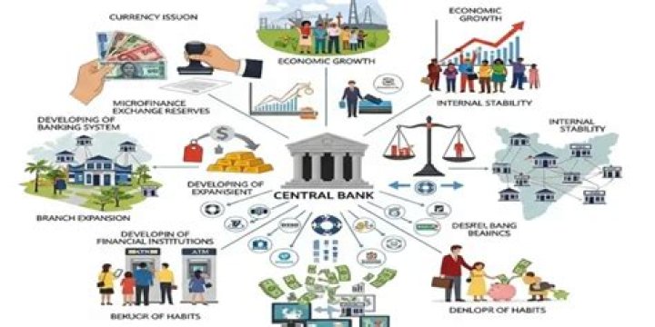 What are the role of central bank in economic development?