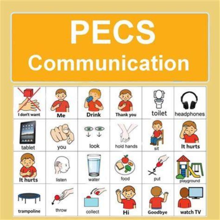 What are the three cluster PECs?