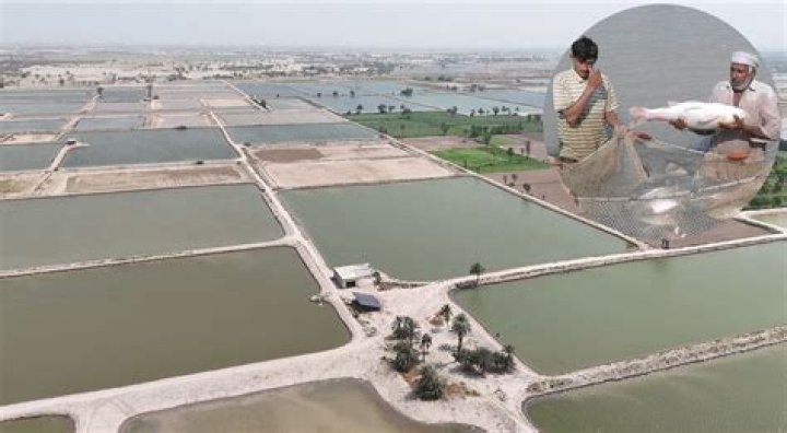 What are the two main Centres of commercial fish farming in Pakistan?