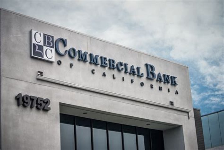 What are the types of commercial banks?