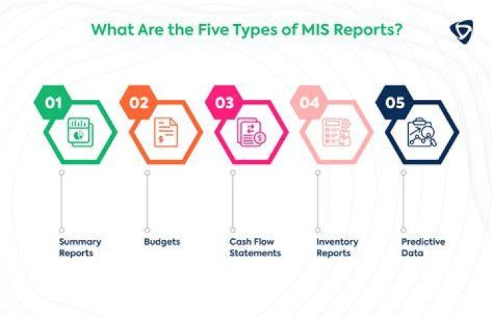 What are the types of MIS reports?