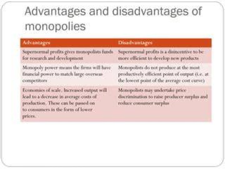 What are two disadvantages of a monopoly?