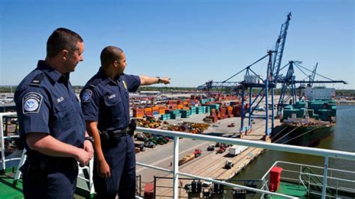 What do excise officers do?