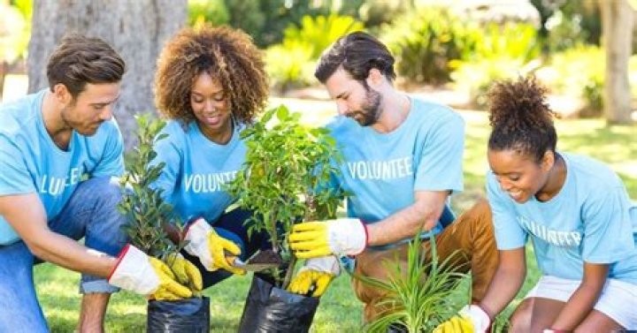 What do you do when volunteering at a farm?