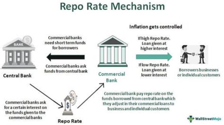 What do you mean by central bank explain?
