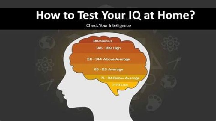 What do you mean by loan IQ?