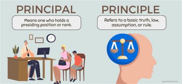 What do you mean by the principle of contribution?