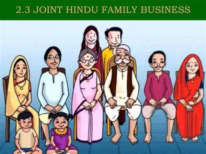 What do you understand by joint Hindu family business?