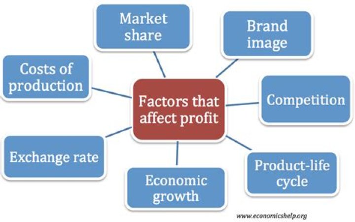 What does a company do with its profits?