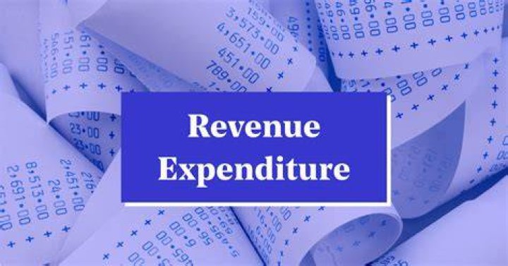 What does a revenue expenditure do?