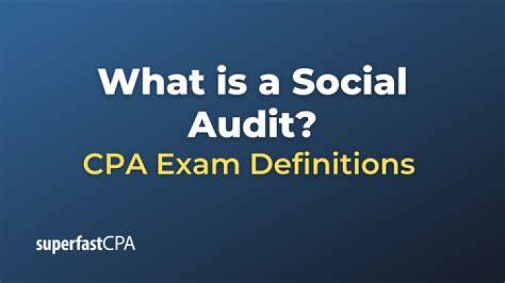 What does a social audit include?