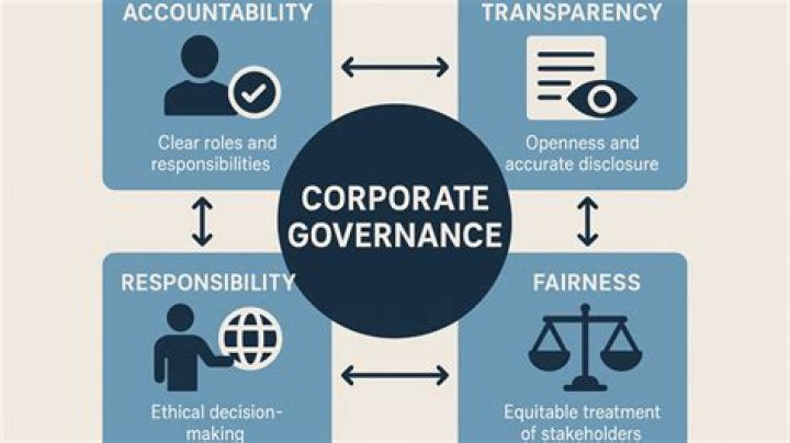 What does external governance mean?