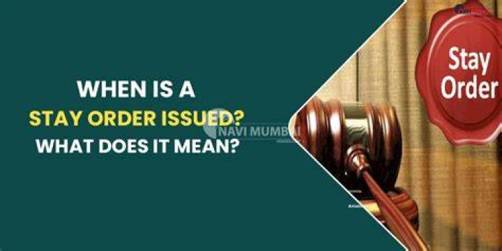 What does it mean when a judge issues a stay order?