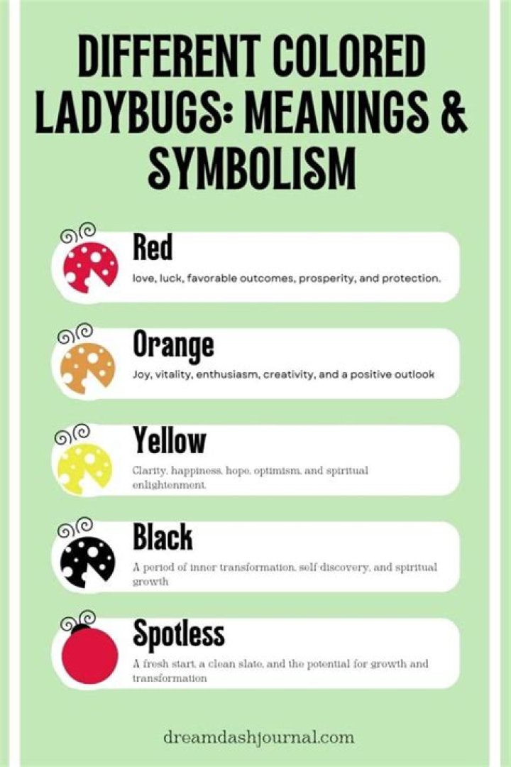 What does ladybug symbolize?