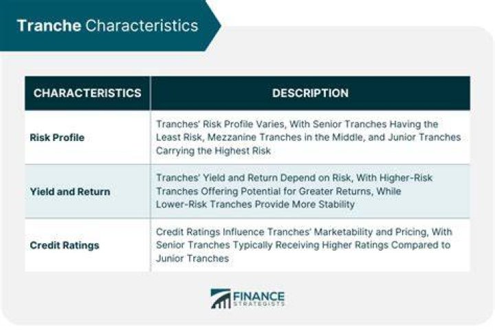 What does loan tranche mean?