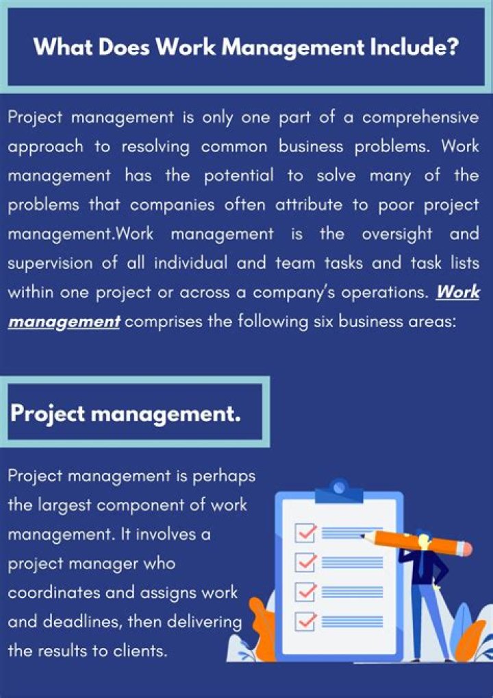 What does management studies include?