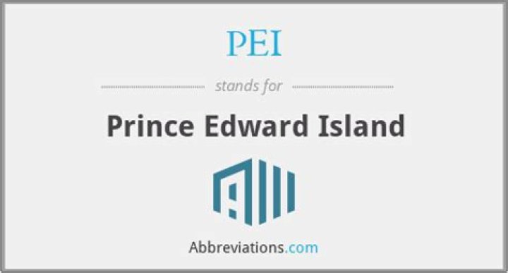 What does PEI stand for in business?