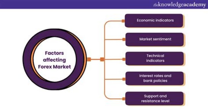 What factors affect the forex market?