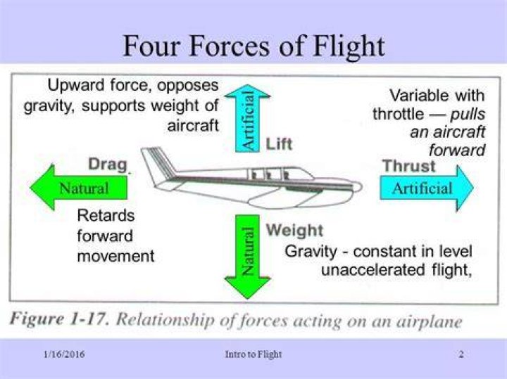 What forces affect a plane in flight?