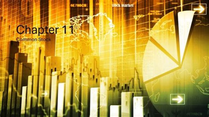 What happens to common stock shareholders in Chapter 11?