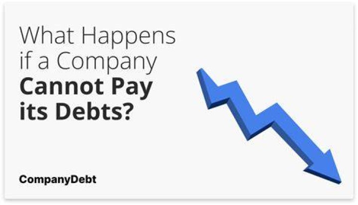 What happens when a company Cannot pay its debts?