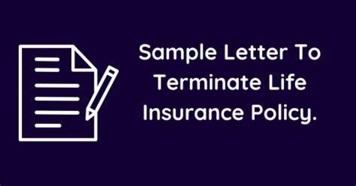 What happens when you terminate a life insurance policy?