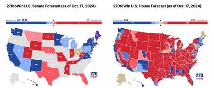What is a bellwether election?