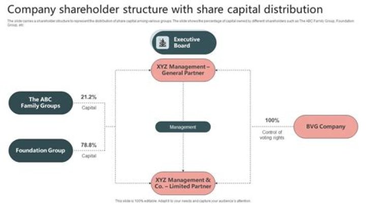 What is a capital market shareholder?