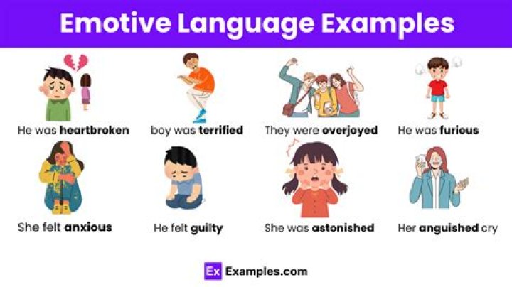 What is a emotive language example?