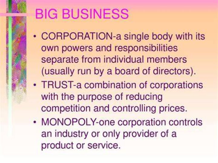 What is a group of corporations run by a single board of directors which usually causes a monopoly called?