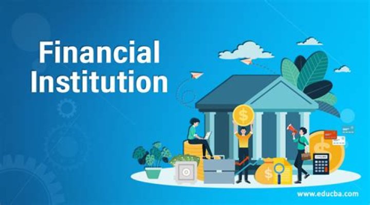 What is a lending financial institution?