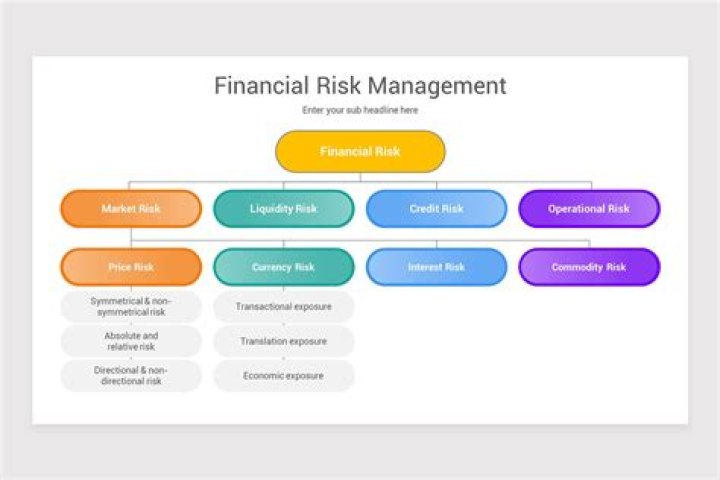 What is a person called who takes a financial risk in order to set up a business?