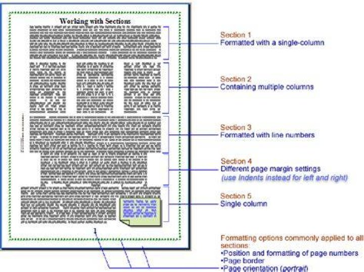 What is a section added to a legal document called?