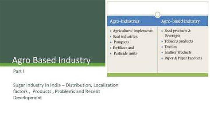 What is agro based industry Short answer?
