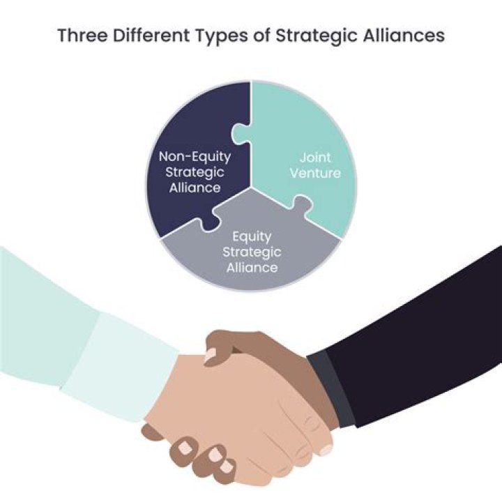 What is an alliance in business?