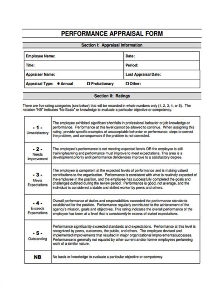 What is an appraisal at work?