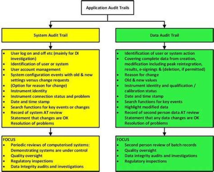 What is an example of a system audit?
