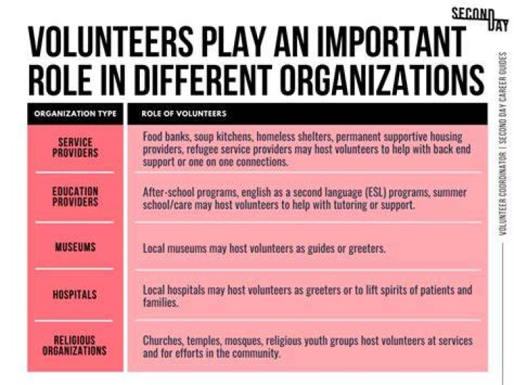 What is an example of a voluntary organization?