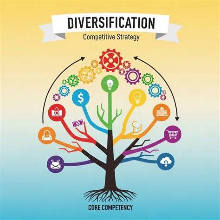 What is an example of diversification in business?