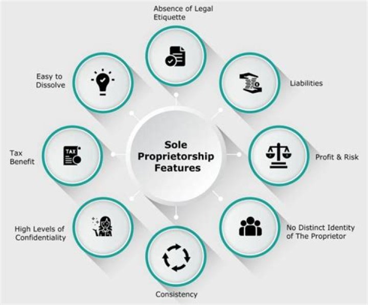 What is an example of sole proprietorship?