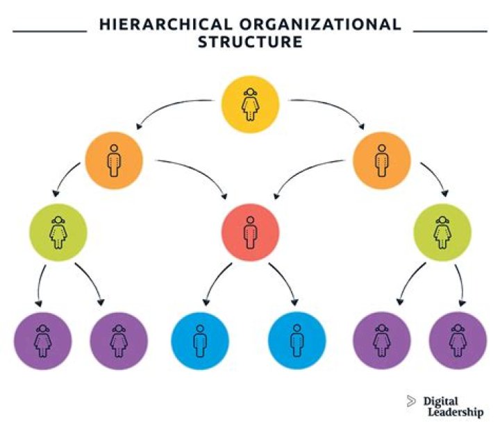 What is an individual organization?