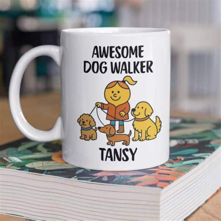 What is another name for a dog walker?