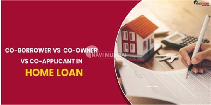 What is borrower fund?