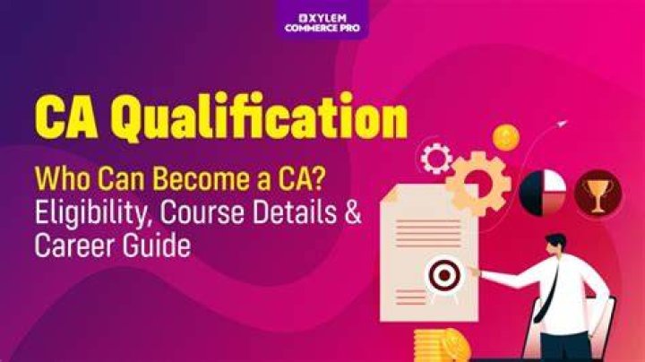 What is CA professional qualification?