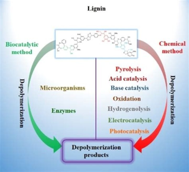 What is catalytic depolymerization?