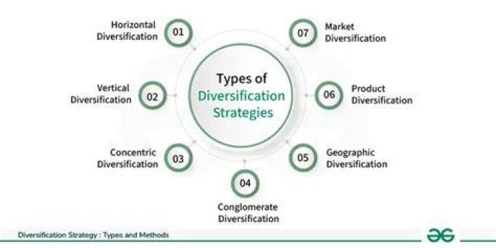 What is diversification with example?