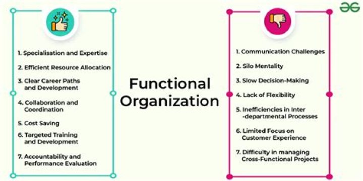 What is functional Organisation and its characteristics?