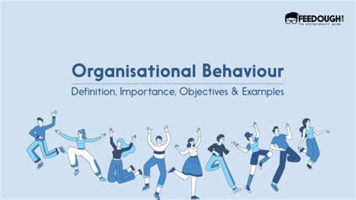 What is importance of Organisational Behaviour?