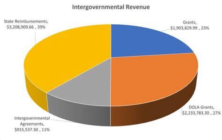What is intergovernmental revenue used for?