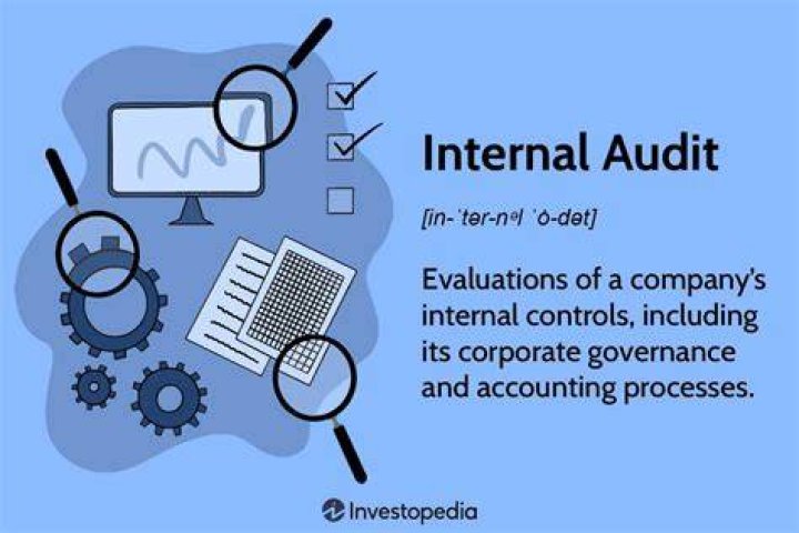 What is internal audit in simple words?